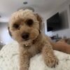 astridbuys48